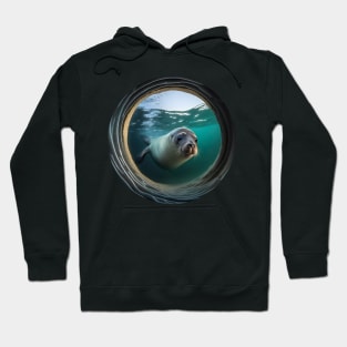 Curious Seal in Underwater View Hoodie